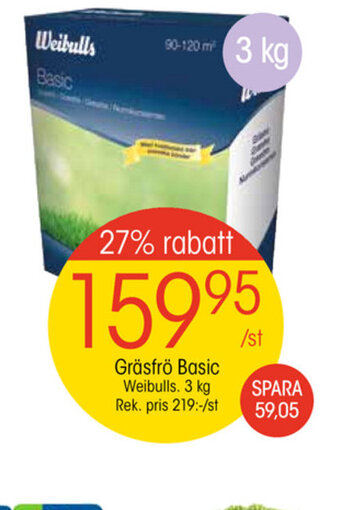 EKO Gräsfrö basic erbjuda