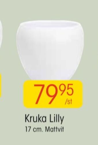 EKO Lafiora krukor erbjuda