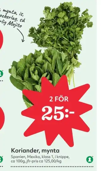 Hemköp koriander