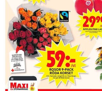 ICA Maxi Ica blommor erbjuda