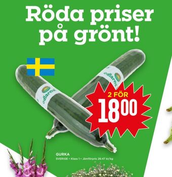 Odlarna.se gurka
