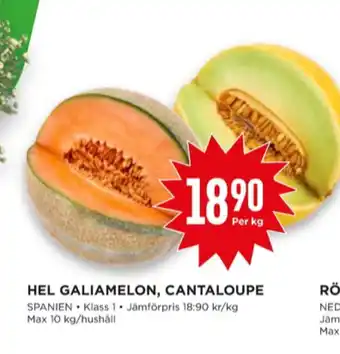 Willys Odlarna.se galiamelon erbjuda
