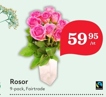 Hemköp Rosor erbjuda