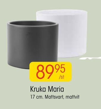 EKO Kruka maria erbjuda