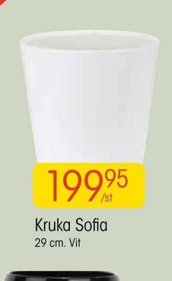 EKO Kruka sofia erbjuda