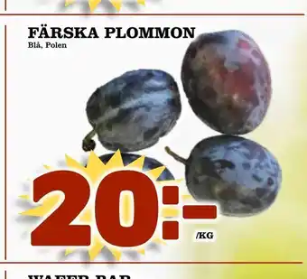 Färska plommon