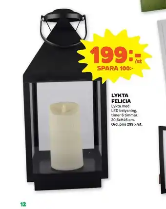 Lykta felicia