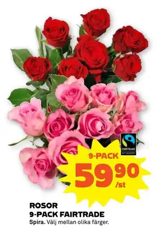 Stora Coop Rosor 9-pack fairtrade erbjuda