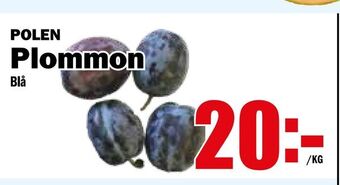 Matdax Plommon erbjuda