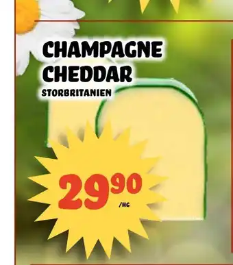 Champagne cheddar