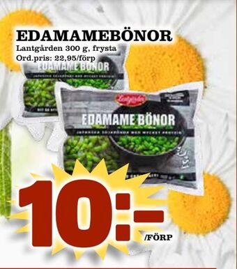 Supergrossen Edamamebönor erbjuda