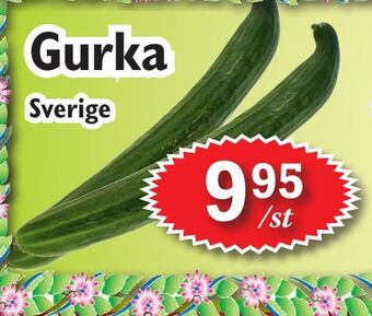 T-jarlen Gurka erbjuda