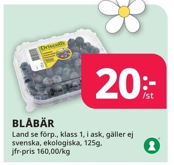 Tempo Blåbär erbjuda