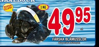 Nya Pulsen Färska blåmusslor erbjuda