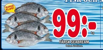 Nya Pulsen Färsk seabream erbjuda