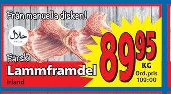 Supergrossen Lammframdel erbjuda