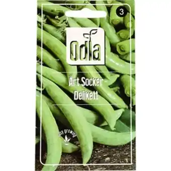 Fröer odla ärt socker delikett