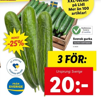 Lidl Svensk Gurka erbjuda