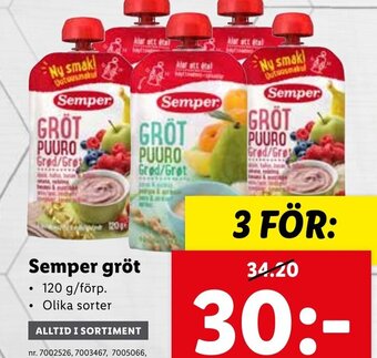Semper Gröt