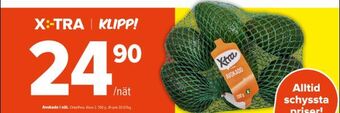 Coop Extra Avokado i nät erbjuda