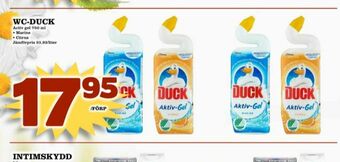 Matdax Duck WC rent erbjuda