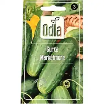 ÖoB Fröer odla gurka marketer erbjuda