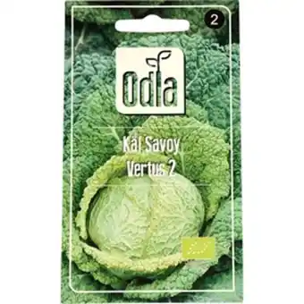 ÖoB Fröer odla kål savoy vertus 2 bio erbjuda