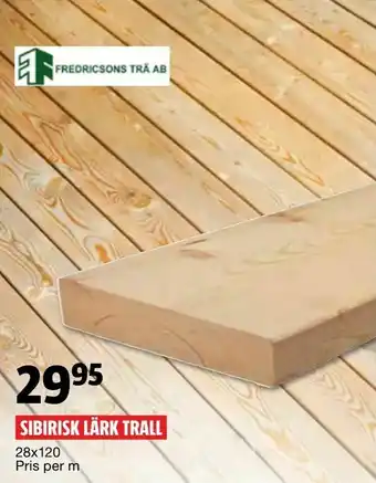 Sibirisk lärk trall