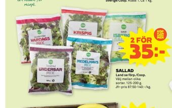 Stora Coop Coop sallat erbjuda
