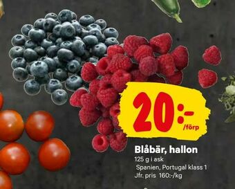 City Gross Blåbär, hallon erbjuda