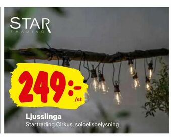 Ljusslinga