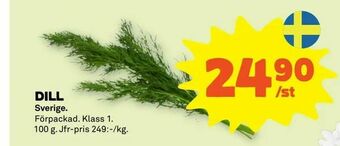 Dill