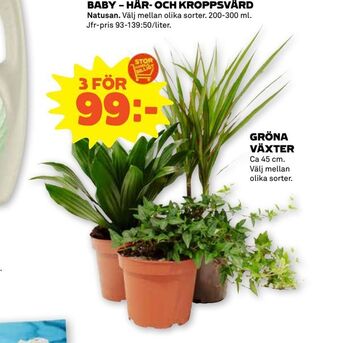 Stora Coop Gröna växter erbjuda
