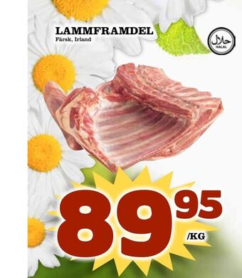 Rinkeby Matcenter Lammframdel erbjuda