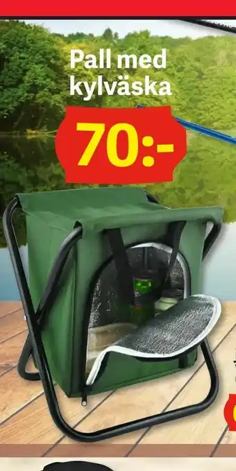 DollarStore Pall med kylväska erbjuda