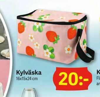 DollarStore Kylväska erbjuda