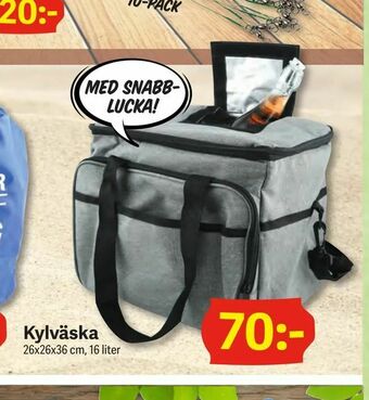 DollarStore Kylväska erbjuda