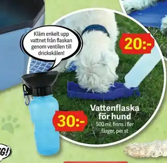 Vattenflaska för hund