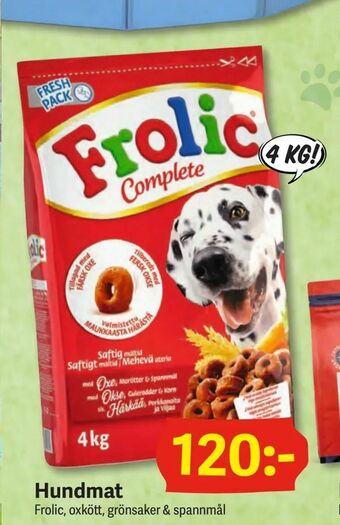 DollarStore Hundmat erbjuda
