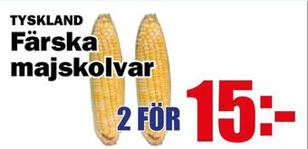 Matdax Färska majskolvar erbjuda