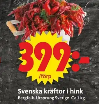 Svenska Kräftor i Hink