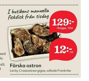 Hemköp Färska ostron erbjuda