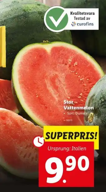 Lidl Stor Vattenmelon erbjuda