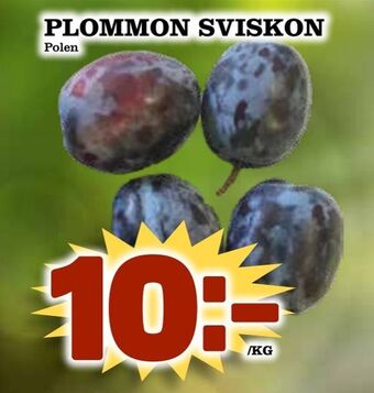 Matvärlden Tensta Plommon sviskon erbjuda