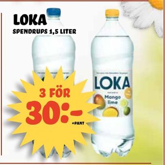 Nelins Loka erbjuda