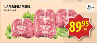 Matvärlden Tensta Lammframdel erbjuda