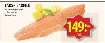 Matvärlden Tensta Färsk laxfilé erbjuda