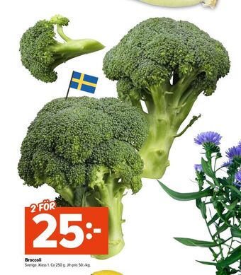 Coop Extra Broccoli erbjuda