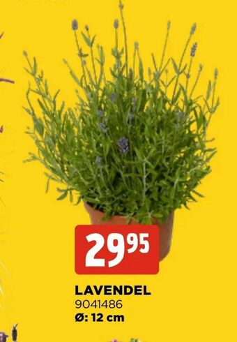 Jem&Fix Lavendel erbjuda