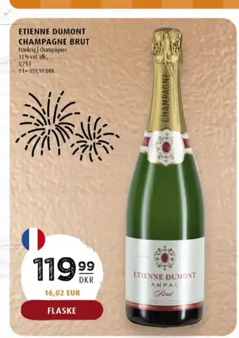 Scandinavian Park Etienne dumont champagne erbjuda